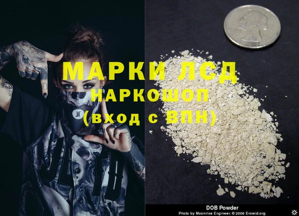 эйфоретик Алзамай