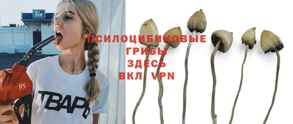эйфоретик Алзамай