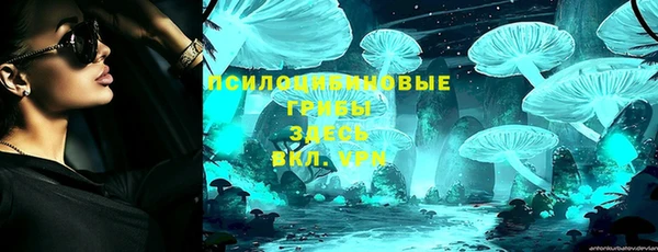 сатива Армянск