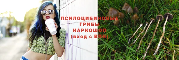 ECSTASY Алексин
